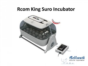 Rcom King Suro incubator