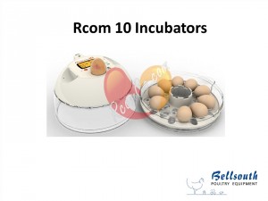 Rcom 10 incubator